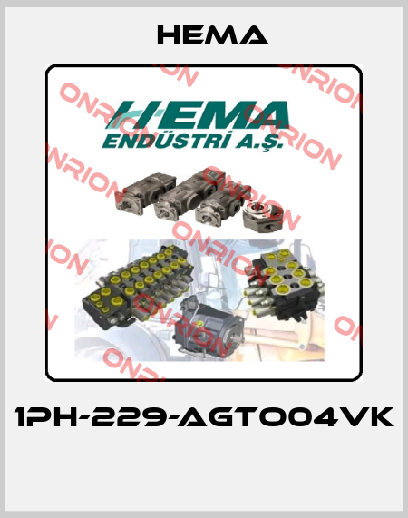 1PH-229-AGTO04VK  Hema