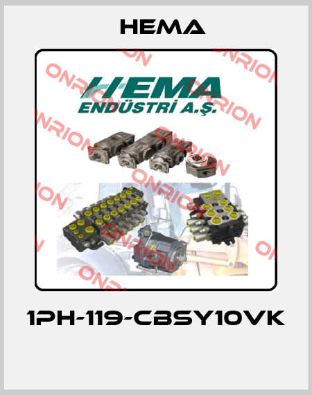 1PH-119-CBSY10VK  Hema