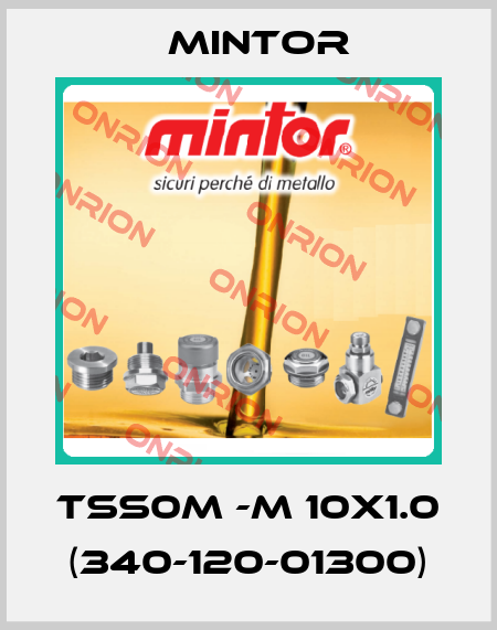 TSS0M -M 10x1.0 (340-120-01300) Mintor
