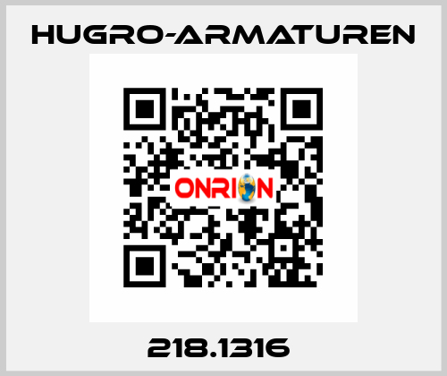 218.1316  Hugro-Armaturen