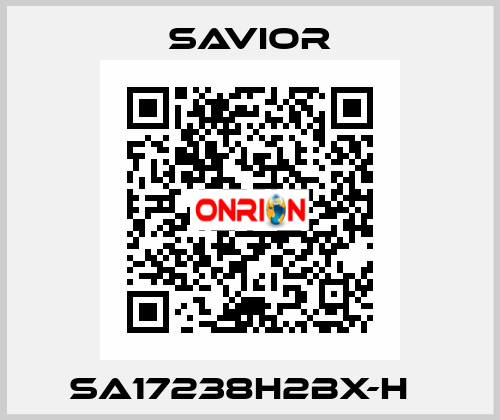 SA17238H2BX-H   Savior