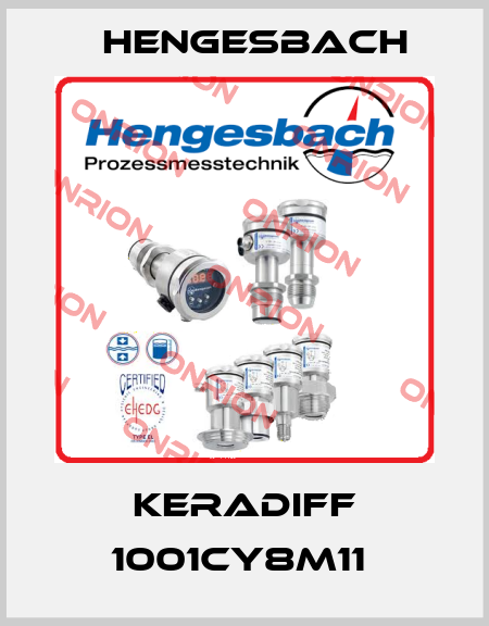 KERADIFF 1001CY8M11  Hengesbach