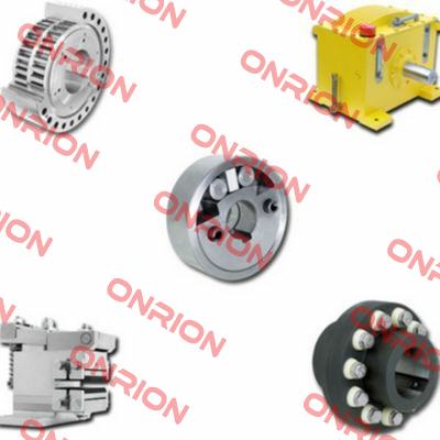 1032-100001-000000 Ringspann