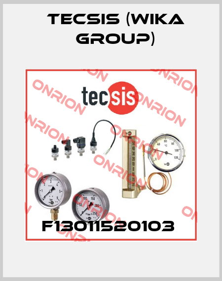 F13011520103  Tecsis (WIKA Group)