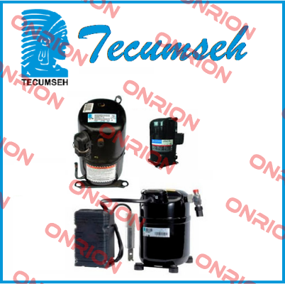 CAE 2417 Z  Tecumseh