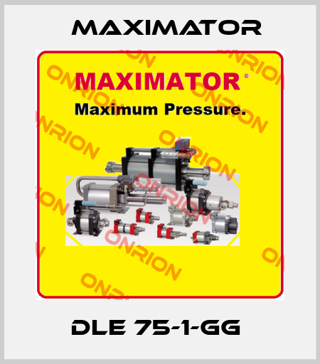 DLE 75-1-GG  Maximator