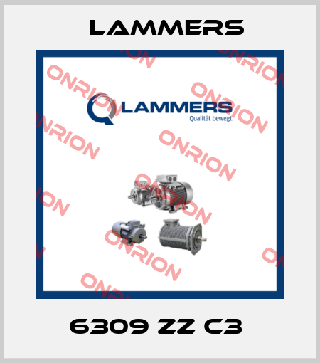 6309 ZZ C3  Lammers
