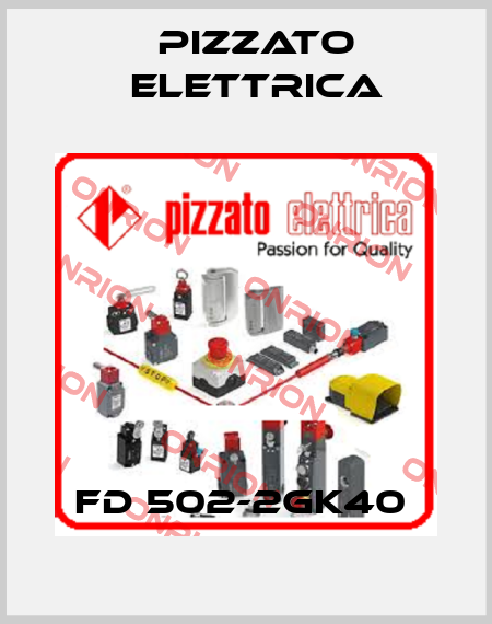 FD 502-2GK40  Pizzato Elettrica
