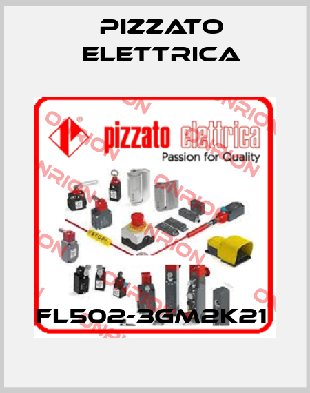 FL502-3GM2K21  Pizzato Elettrica