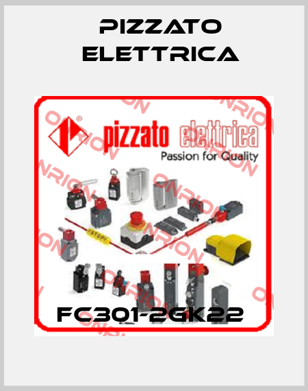 FC301-2GK22  Pizzato Elettrica