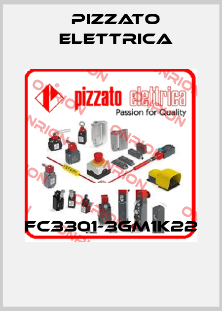 FC3301-3GM1K22  Pizzato Elettrica