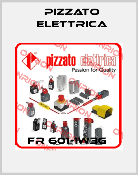 FR 601-1W3G  Pizzato Elettrica