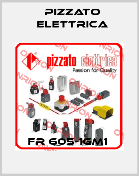 FR 605-1GM1  Pizzato Elettrica