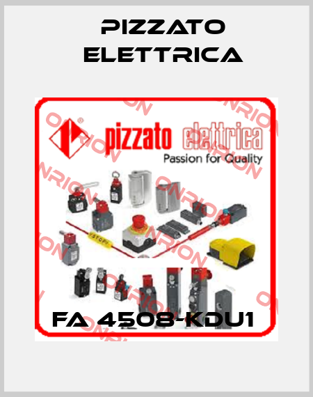 FA 4508-KDU1  Pizzato Elettrica