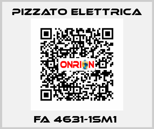 FA 4631-1SM1  Pizzato Elettrica