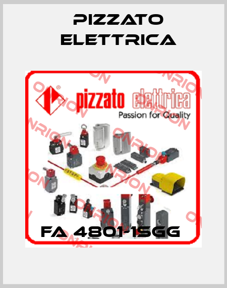 FA 4801-1SGG  Pizzato Elettrica