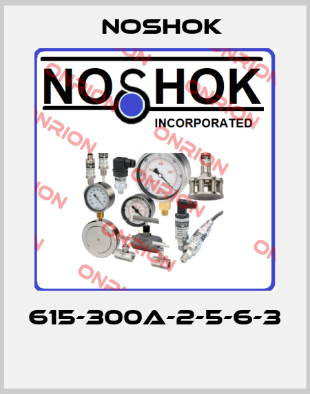 615-300A-2-5-6-3  Noshok