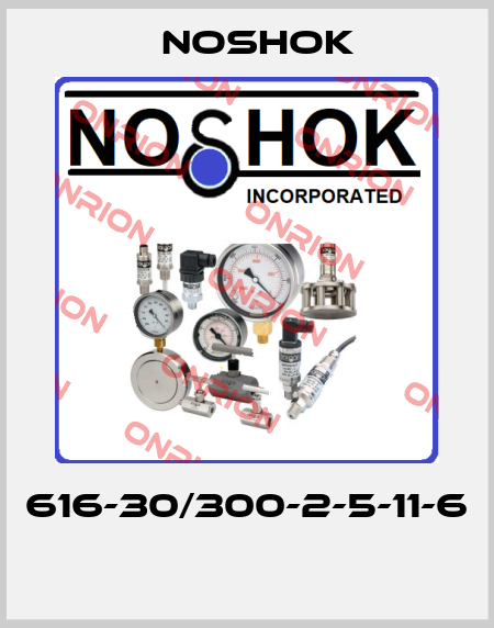 616-30/300-2-5-11-6  Noshok