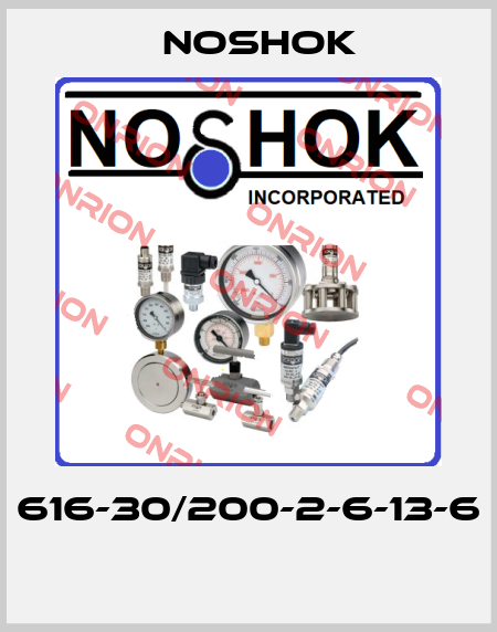 616-30/200-2-6-13-6  Noshok