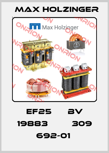 EF25      BV 19883         309 692-01  Max Holzinger