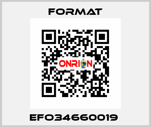 EFO34660019  Format