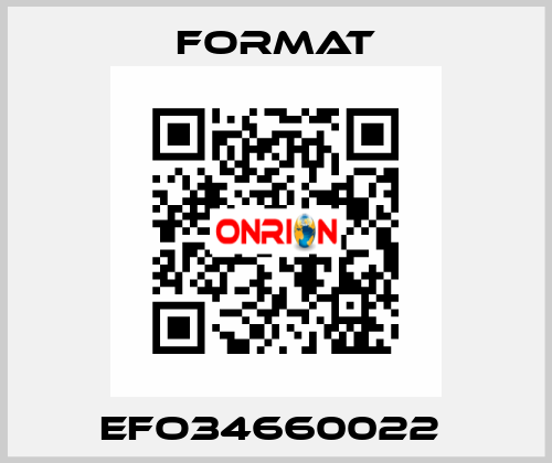 EFO34660022  Format