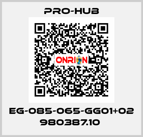 EG-085-065-GG01+02 980387.10  Pro-Hub