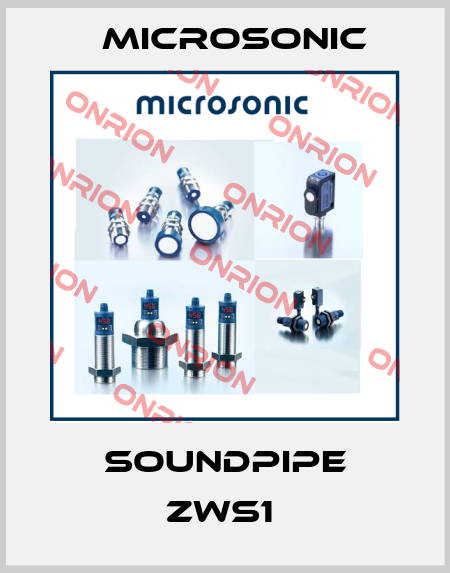 SoundPipe zws1  Microsonic