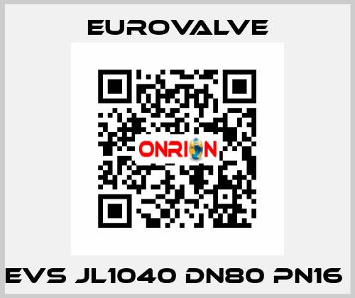 EVS JL1040 DN80 PN16  Eurovalve