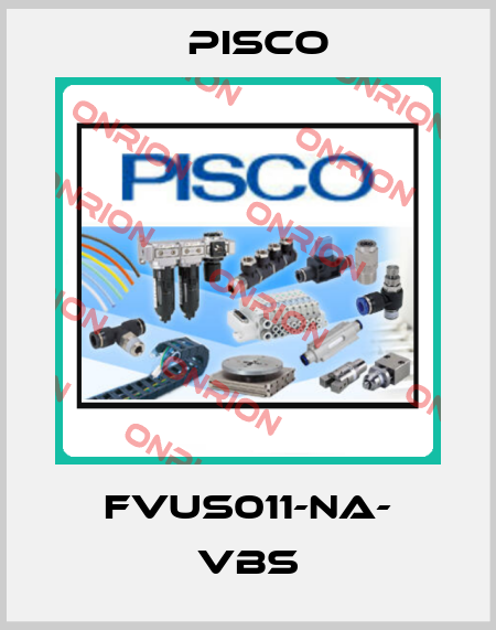 FVUS011-NA- VBS Pisco