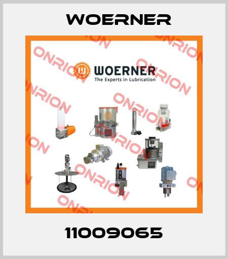 11009065 Woerner