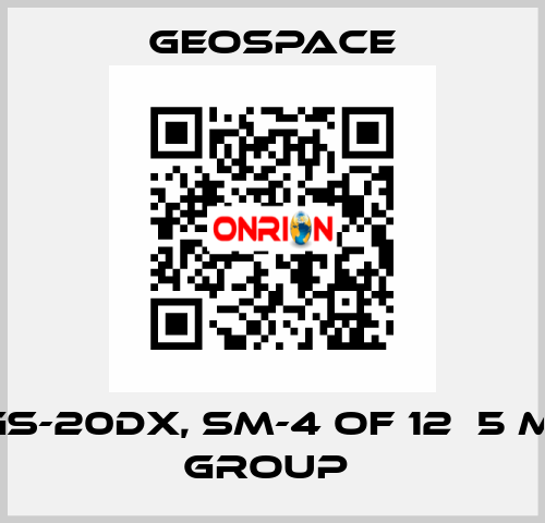 GS-20DX, SM-4 OF 12Х5 M, GROUP  GeoSpace