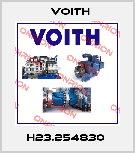 H23.254830  Voith