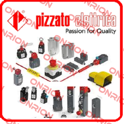 Type FR 520 / PN: 4688493 Pizzato Elettrica