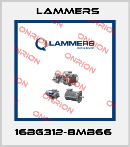 16BG312-8MB66  Lammers