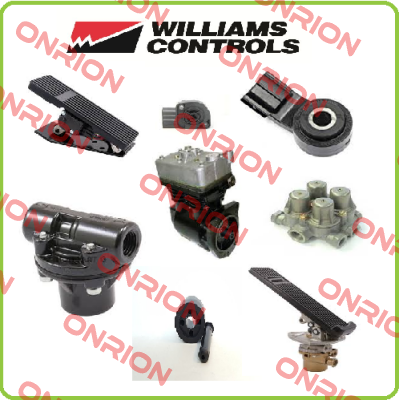 134565   Williams Controls