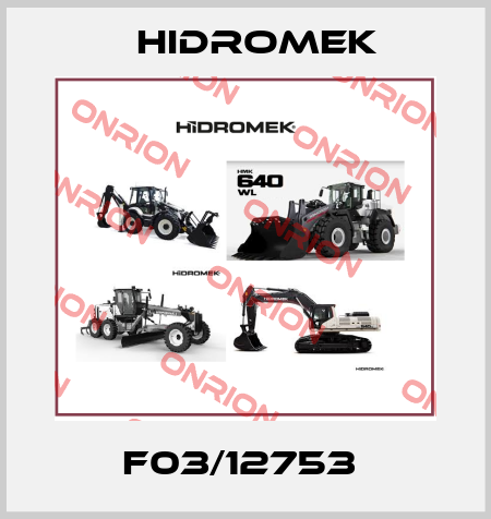 F03/12753  Hidromek