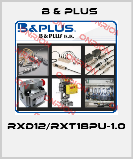 RXD12/RXT18PU-1.0  B & PLUS