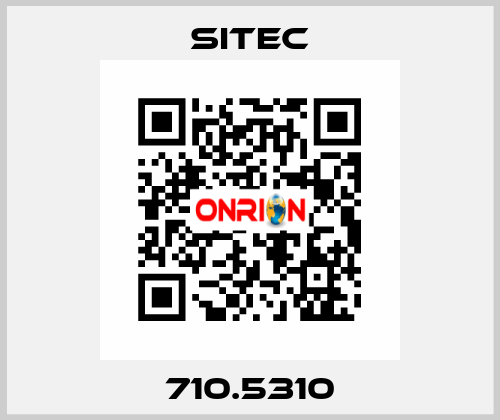 710.5310 SITEC