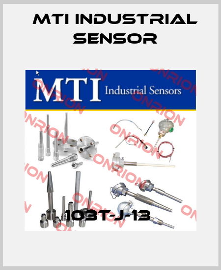 103T-J-13  MTI Industrial Sensor