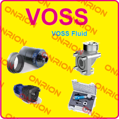 190026/94   Voss