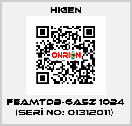 FEAMTDB-6A5Z 1024 (SERİ NO: 01312011)  Higen