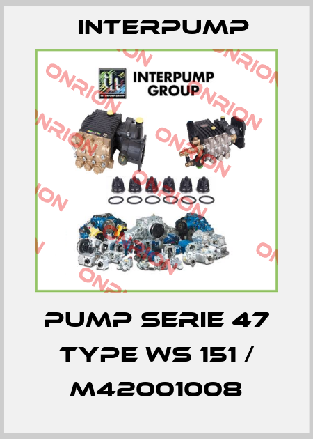 Pump Serie 47 Type WS 151 / M42001008 Interpump