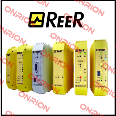 SP-R-13-309-19 Optional!  Reer