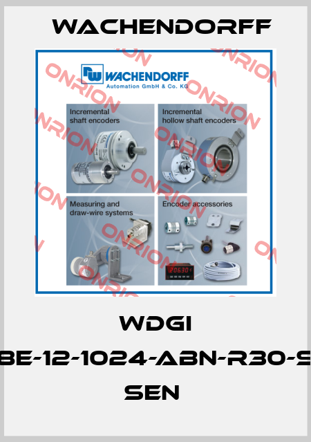WDGI 58E-12-1024-ABN-R30-S5 SEN  Wachendorff