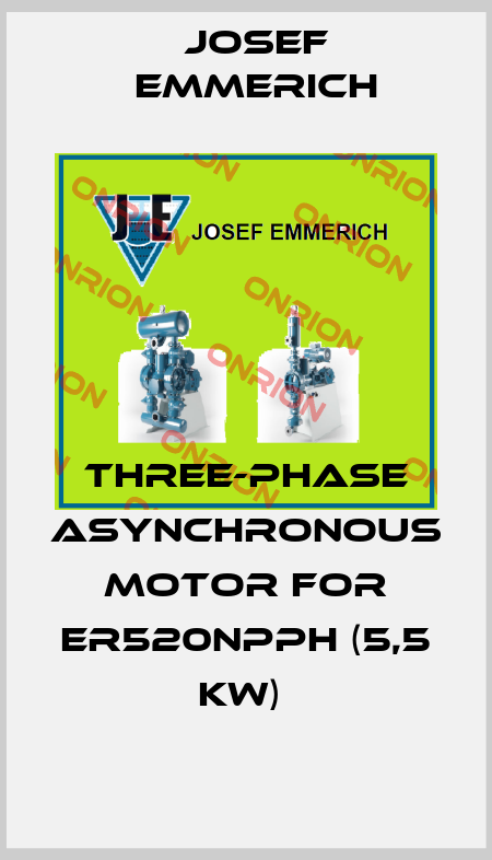 Three-phase asynchronous motor for ER520NPPH (5,5 kW)  Josef Emmerich