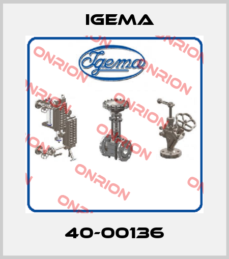 40-00136 Igema