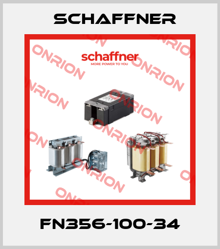 FN356-100-34 Schaffner