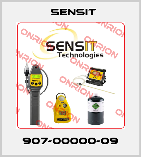 907-00000-09 Sensit