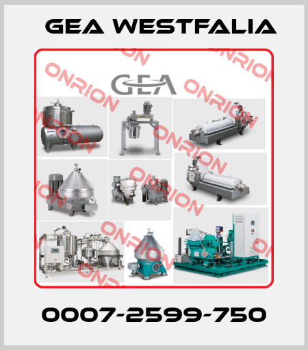 0007-2599-750 Gea Westfalia